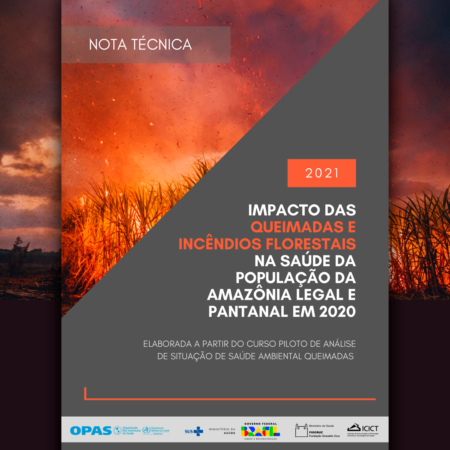 Impactos das queimadas na saúde das populações da Amazônia Legal e do