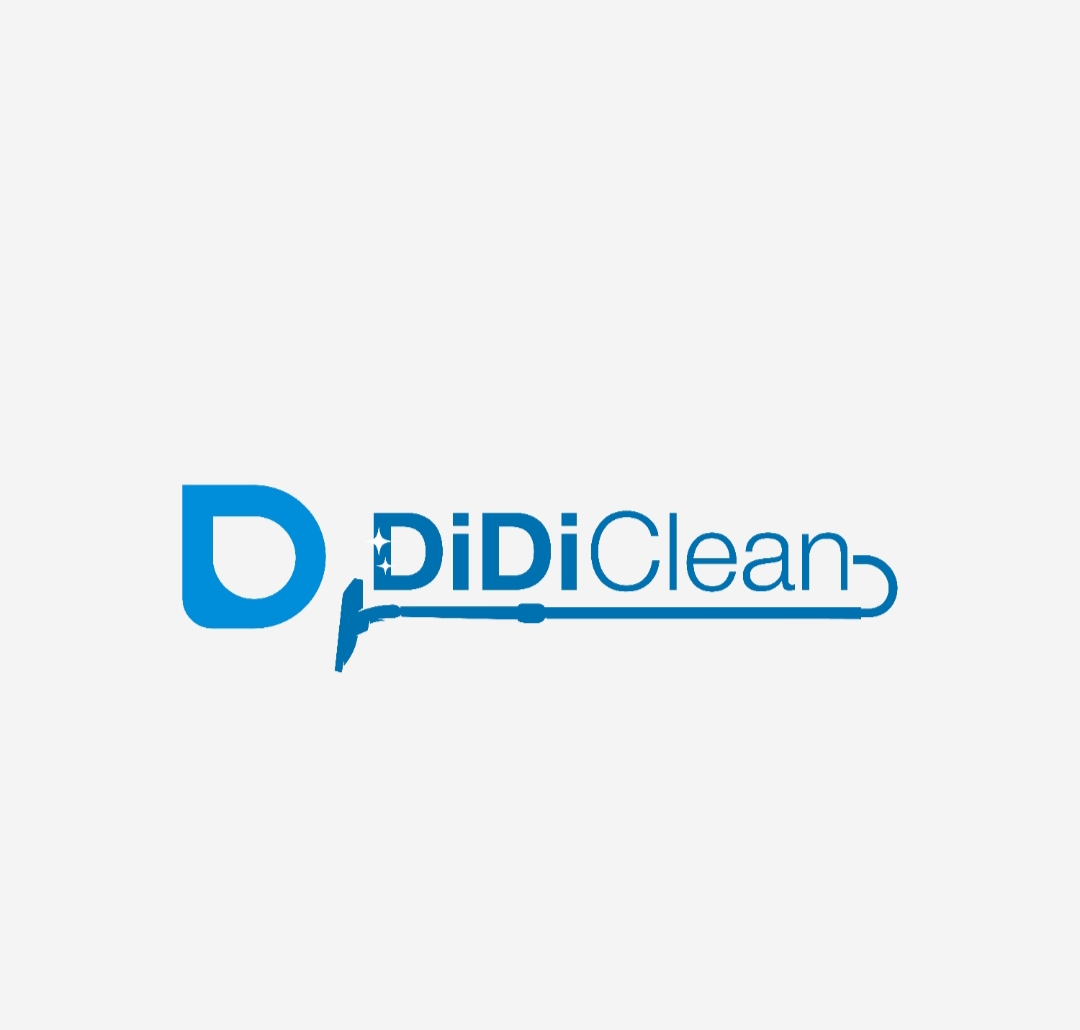 didi clean