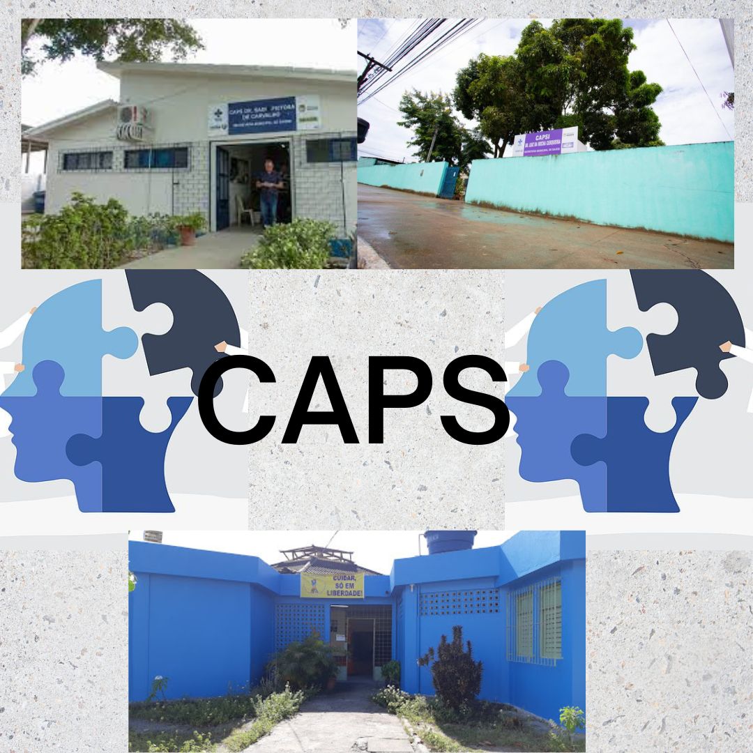 Relato das experiências em três CAPS de Maceió uma visão holística e